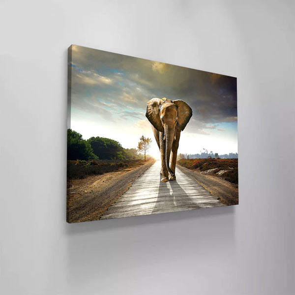 Elephant On the Road